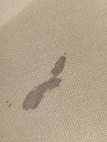 Eco POG - Solvent Spot Remover photo review