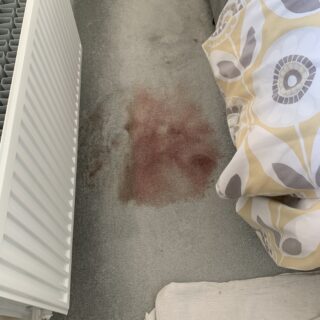 SoluClear - Upholstery & Carpet Sanitiser - 5L photo review