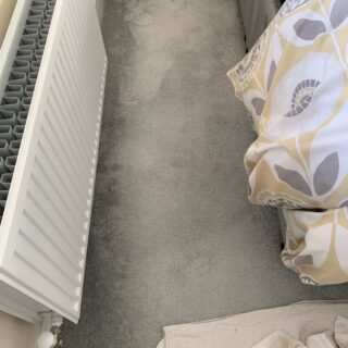 SoluClear - Upholstery & Carpet Sanitiser - 5L photo review