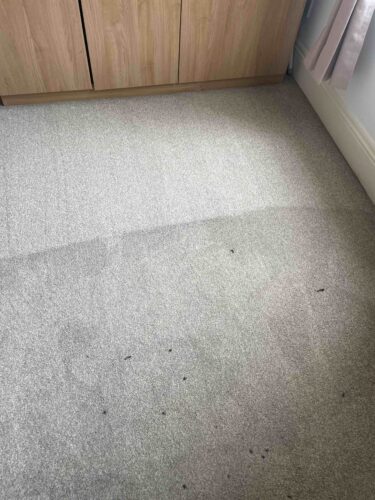 Nitro - High Performance Upholstery & Carpet Cleaning Chemical photo review