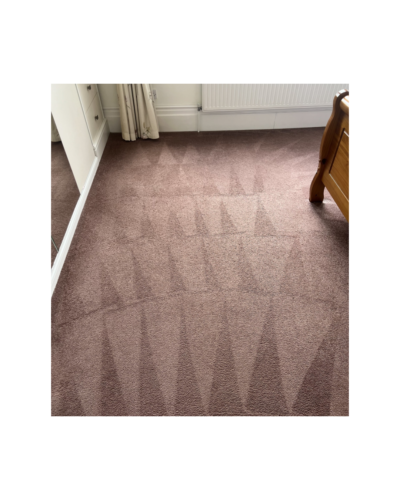 Nitro - High Performance Upholstery & Carpet Cleaning Chemical photo review