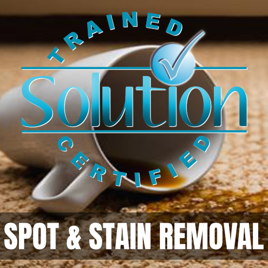 Spot & Stain Course
