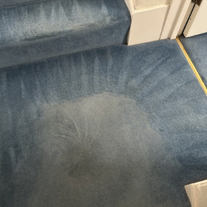 Shockwave - Performance Enzyme Pre-Spray photo review