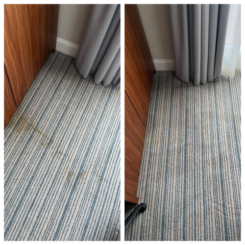 M-Power Carpet Spot & Stain Remover photo review