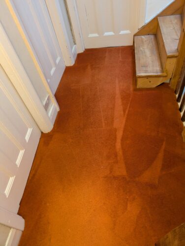 Blaze - Performance Solvent Pre-Spray photo review