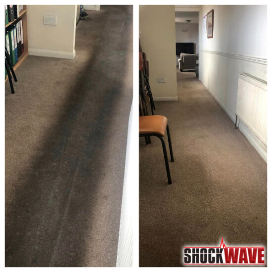 Shockwave Heavy Duty Carpet Cleaning Chemical