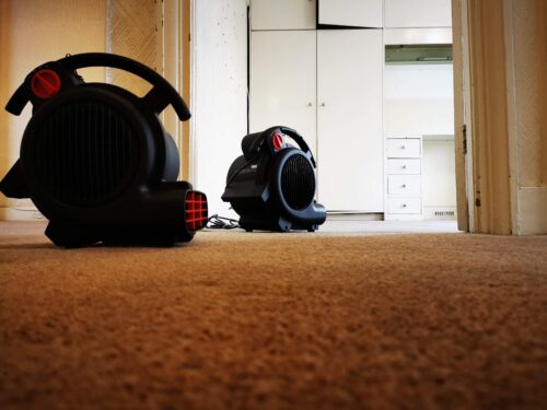 Mini Air Mover Turbo Dryer photo review