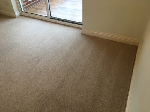 Fusion Clean - Encapsulation Carpet Cleaning Chemical photo review