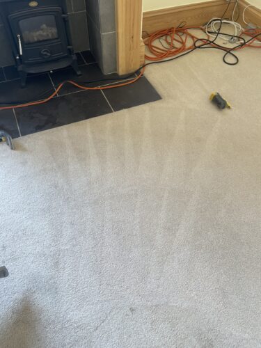Lemon Vibe - Performance Citrus Solvent Pre-Spray photo review