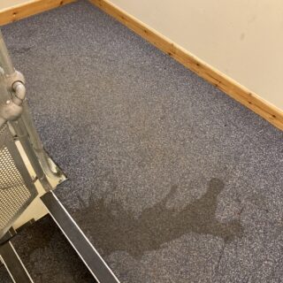 Hydro202 - Encapsulation Carpet Cleaning Chemical - 5L photo review