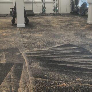 Dry Carpet Cleaning Powder photo review