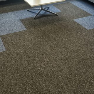 Dry Carpet Cleaning Powder photo review