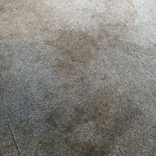 Blaze - Performance Solvent Pre-Spray photo review