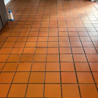 STS - Stone Tile & Safety Floor Cleaner photo review