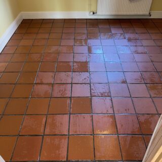 STS - Stone Tile & Safety Floor Cleaner photo review