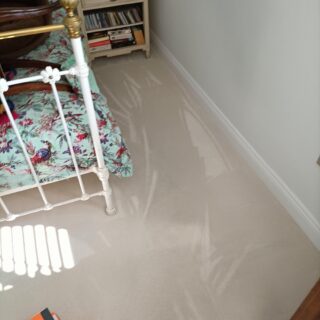 Hydro202 - Encapsulation Carpet Cleaning Chemical - 5L photo review