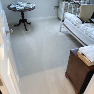Hydro202 - Encapsulation Carpet Cleaning Chemical - 5L photo review
