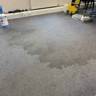 Heavy Duty Carpet Cleaning Solution photo review