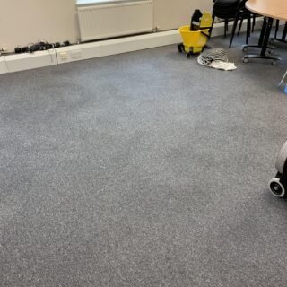 Heavy Duty Carpet Cleaning Solution photo review
