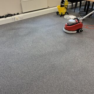 Heavy Duty Carpet Cleaning Solution photo review
