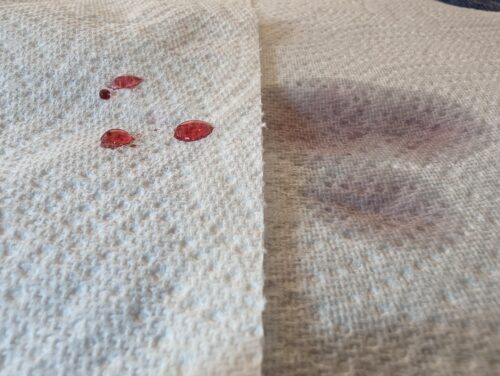Protect Nano - Upholstery & Carpet Stain Protector photo review