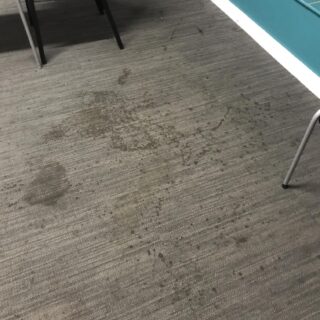Heavy Duty Carpet Cleaning Solution photo review