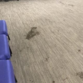 Heavy Duty Carpet Cleaning Solution photo review
