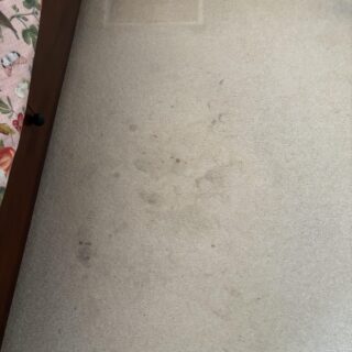 S.P.M Lemon Burst - Upholstery & Carpet Cleaning Chemical photo review