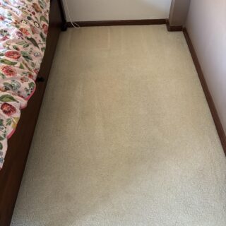 S.P.M Lemon Burst - Upholstery & Carpet Cleaning Chemical photo review