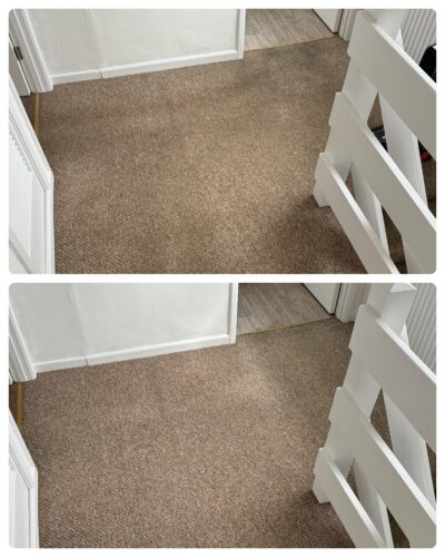 Hydro202 - Encapsulation Carpet Cleaning Chemical - 5L photo review