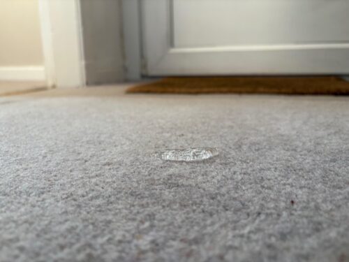 Protect Nano - Upholstery & Carpet Stain Protector photo review