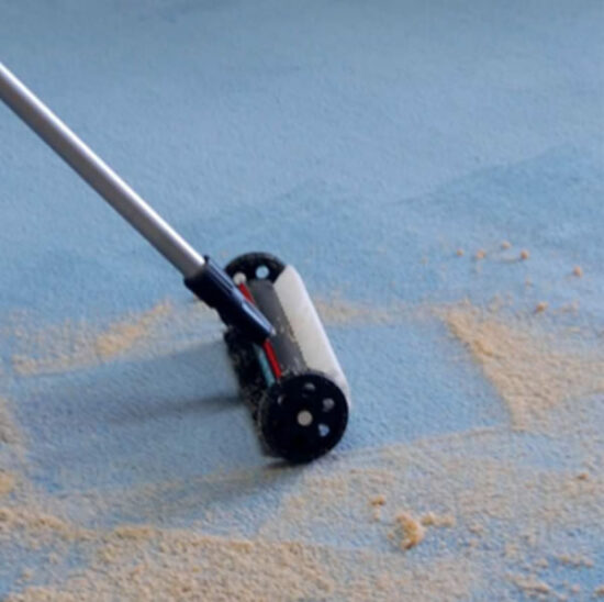 Carpet Brush